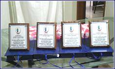 Sheilds Waiting for Best Performers
